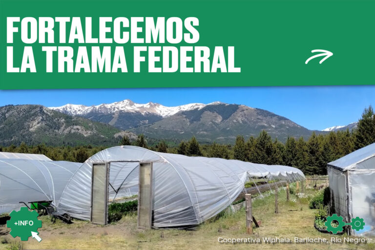 placa 8_fortalecemos la trama federal