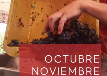 Portada Novedades WEB (1)