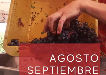 Portada Novedades WEB